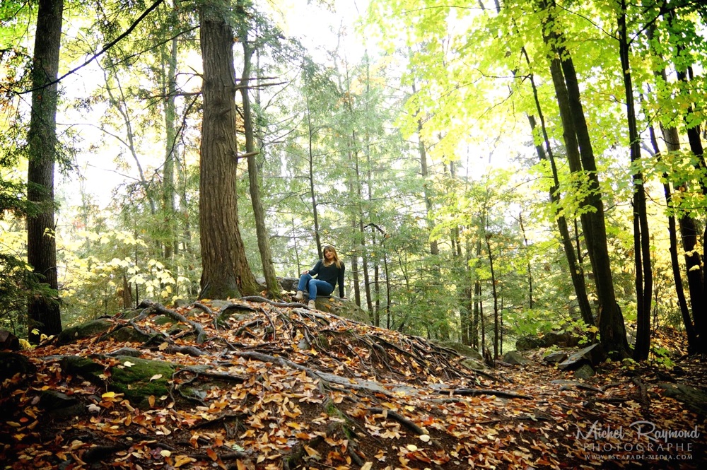 photo-bois-en-automne