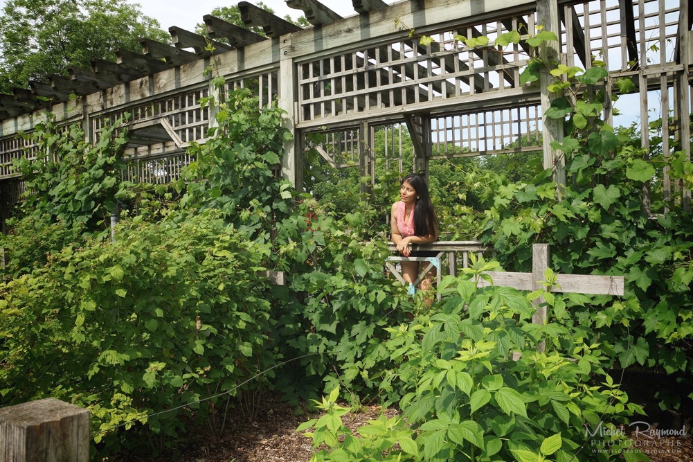 vignes-du-jardin