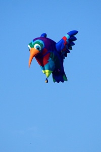 montgolfiere oiseau