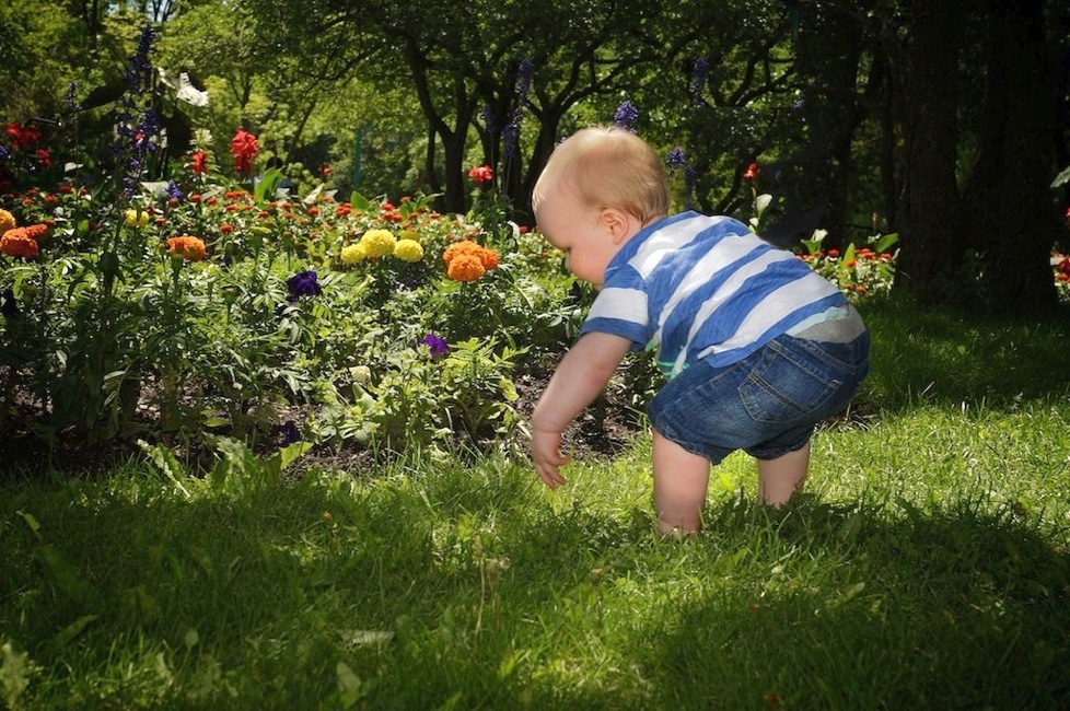 bébé s'amuse dans les fleurs