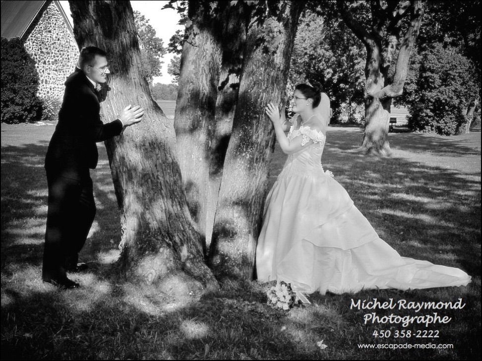 mariés autour de l'arbre