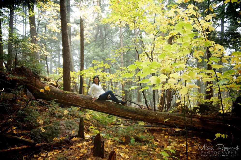 belle-photo-automne-dans-le-boisé-du-Québec