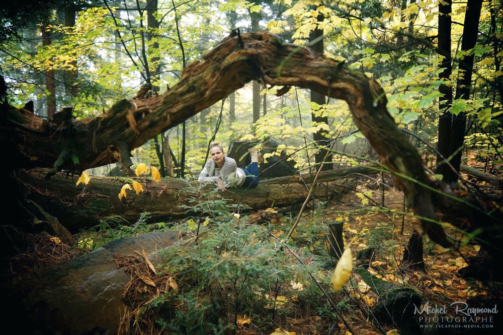 jaimy-herreira-bois-automne