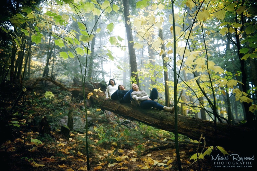 belle-photo-nature-avec-trois-latines