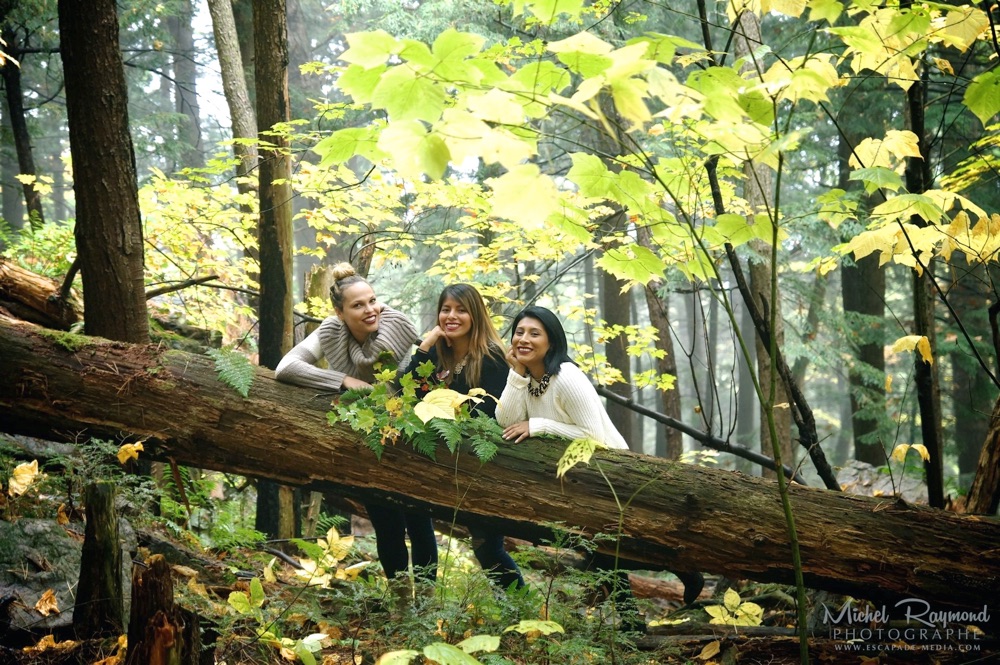 automne-dans-le-bois