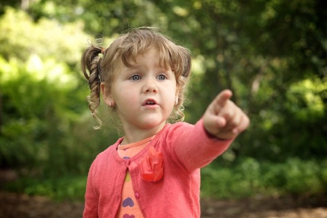 enfant qui pointe un écureuil