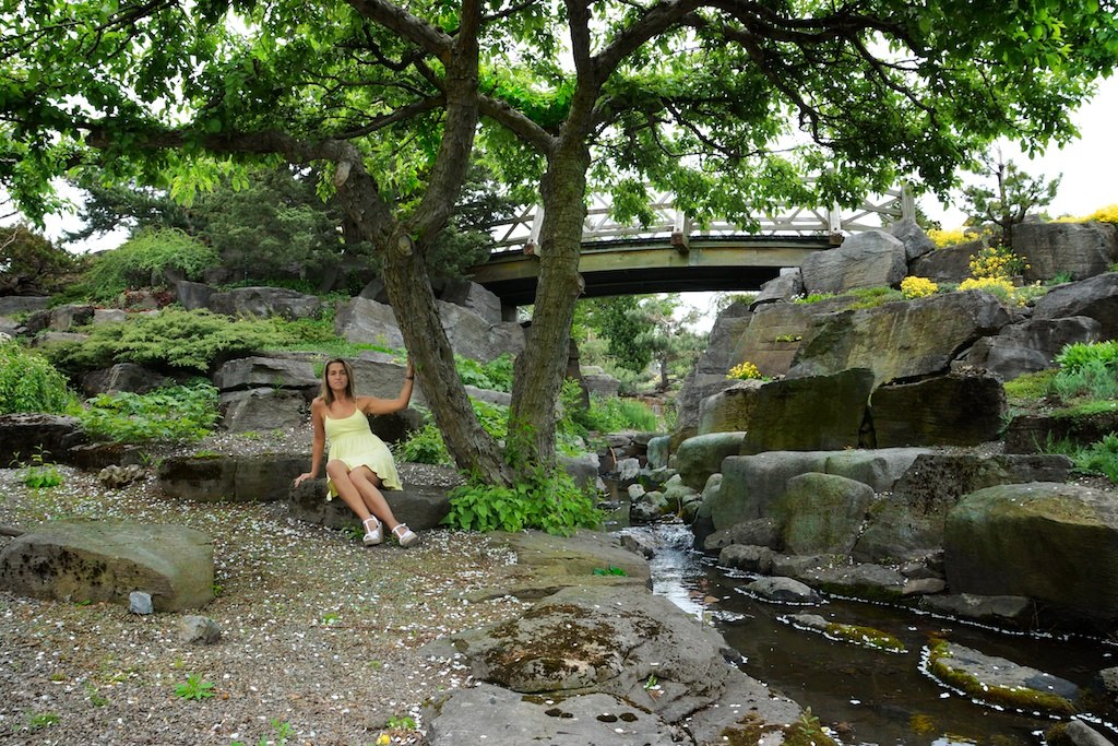 jardin-alpin-jardin-botanique-montreal