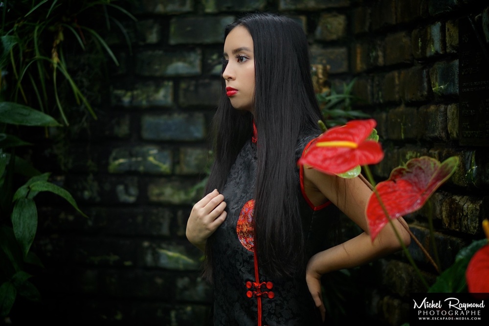 photo-chinoise-au-serre-jardin-botanique