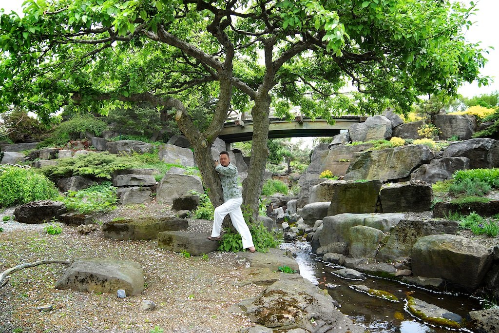 homme prêt arbre du jardin botanique de montréal