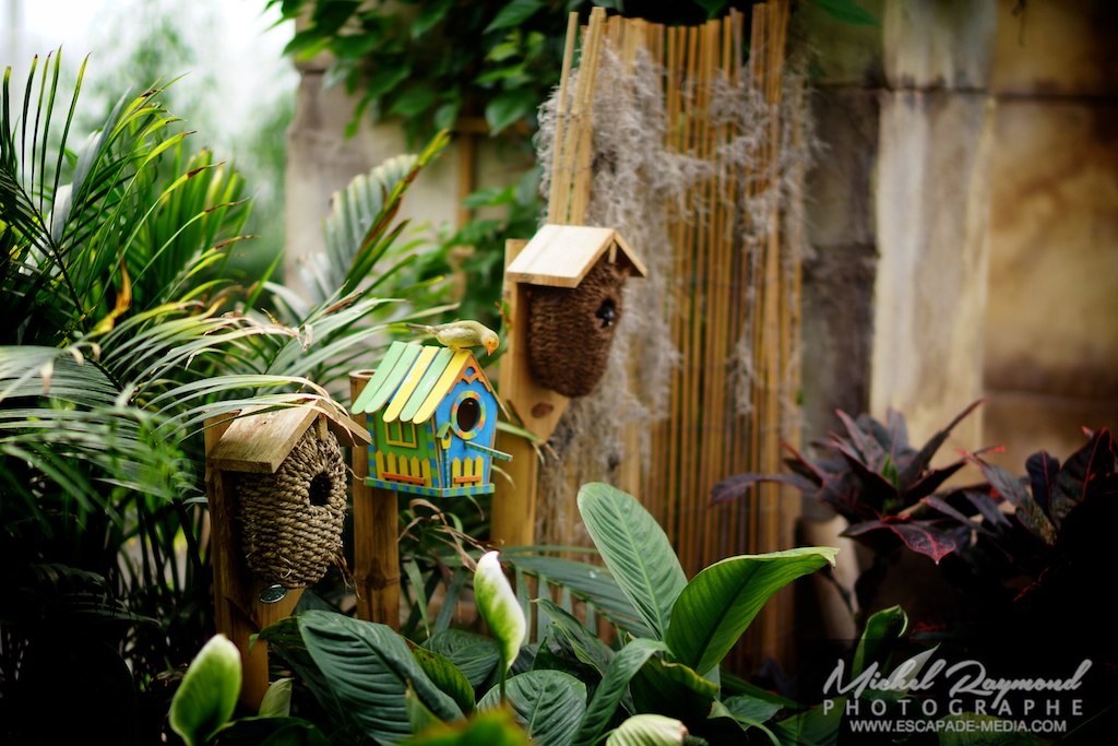 cabane à oiseaux
