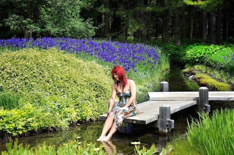 stéphanie boucher jardin d'eau et fleurs
