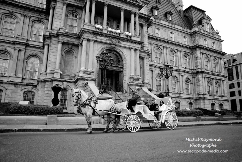 promenade en calèche dans le vieux Montréal devant hötel de ville de Montr éal