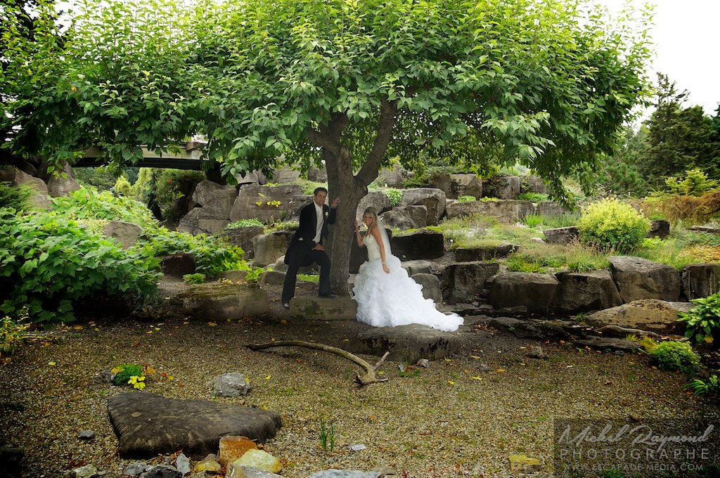 grans-arbre-avec-les-maries-jardin-botanique