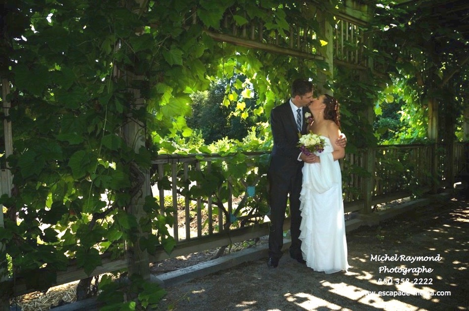 couple mari&eacute;e s'embrasse dans les vignes du jardin botanique