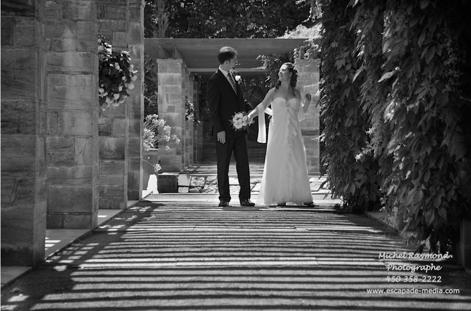 balade dans les vignes du jardin
