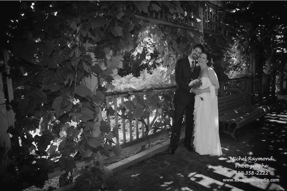 amoureux dans les vignes du jardin botanique