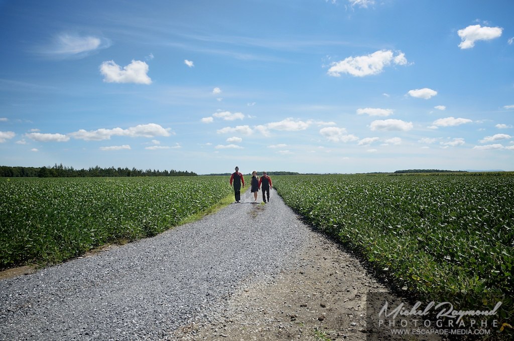 futur marié et parent dans un champs