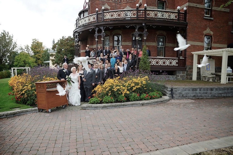 envollé-colombe-Chateau-Saint-Antoine-Québec