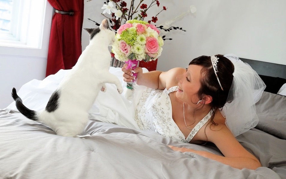 La mariée Émilie avec son chat