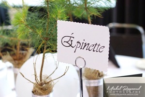 &eacute;pinette sur le stable