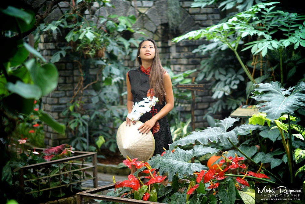 chinoise-au-serres-des-orchidées